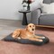 43"x26" Orthopedic Dog Bed with Memory Foam Waterproof Cover and Anti-Slip Bottom for Medium Dogs